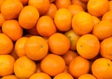 برتقال يافا